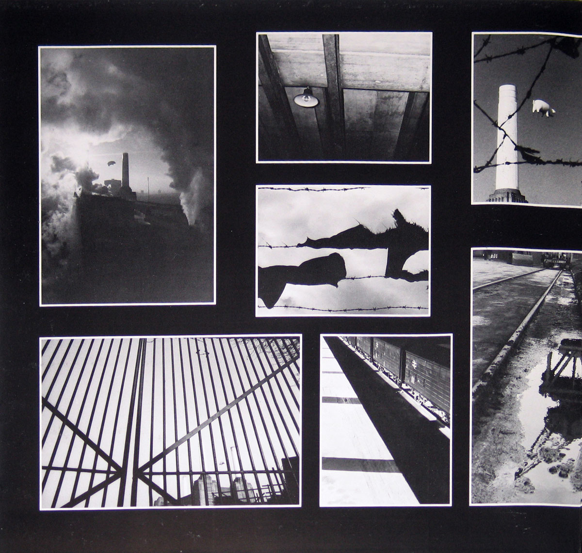 High Resolution Photo #3 PINK FLOYD animals netherlands 